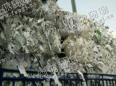 广西地区废白卡纸回收