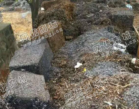 天津地区刨花压块上门回收