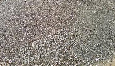 黑龙江地区铁屑上门回收