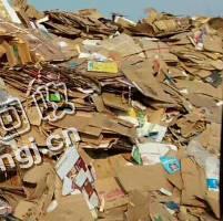 上海浦东新区废黄纸箱回收