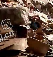 山东济南地区废黄纸箱回收