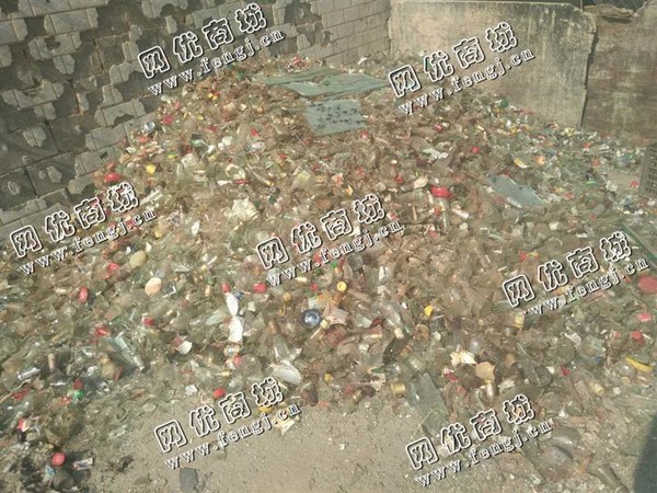 天心区环保西路老*啤酒瓶回收