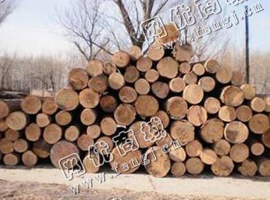 8cm直径圆木回收