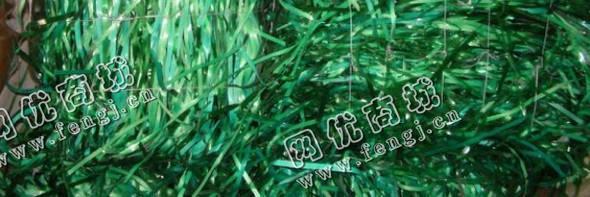 绿带子回收