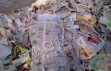 广东东莞地区废报纸回收