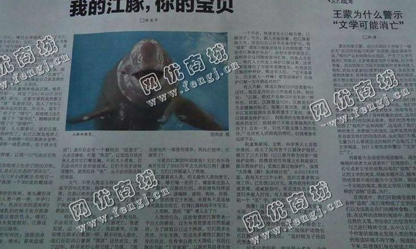 新校旁旧报纸回收