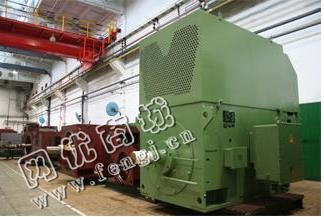 YKS1000-8/10KV系列高压三相异步电动机