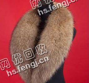 河南濮阳地区闲置貉子毛领回收