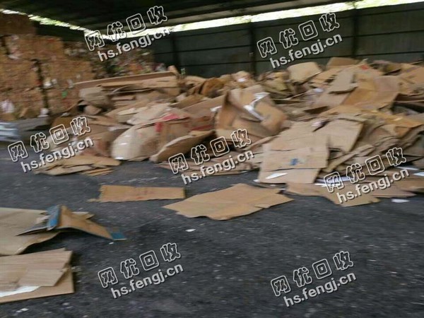 浙江温州地区废黄板纸箱回收
