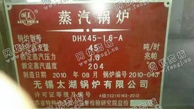 出售10太湖45吨蒸汽锅炉