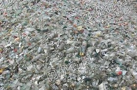 废白啤酒瓶回收