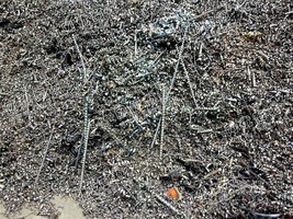 上海地区刨花上门回收