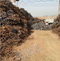 下脚料4个厚上门回收