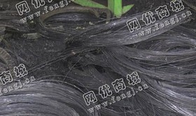 轮胎钢丝（直径1．5mm）回收
