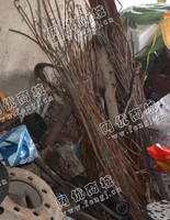 拆房的废铁钢筋上门回收