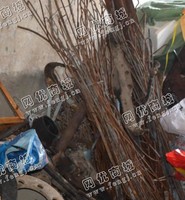 废品店废铁丝回收