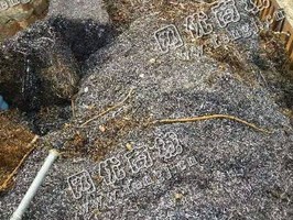 贵州地区铁刨花上门回收