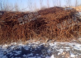 废旧螺纹钢在线回收