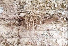 四川成都地区废纸边角料回收