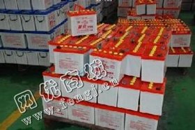高价大白电瓶回收