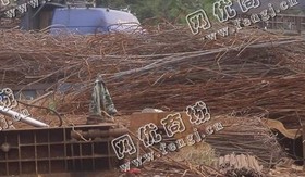 废旧钢筋大量回收