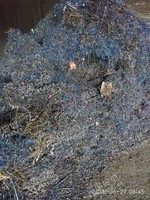 山西地区刨花回收