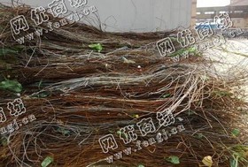 铁丝上门收购