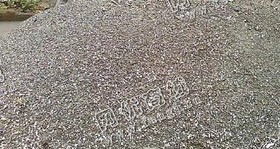 生铁屑大量采购