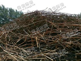 四川地区废品店铁丝回收