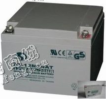 12v20*H电瓶回收