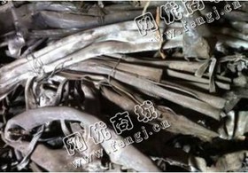 吉林地区干净蛇皮铅回收