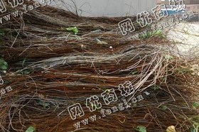广东废品店铁丝回收