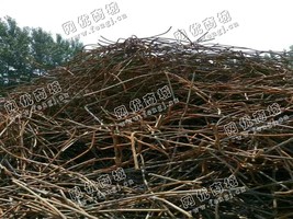 工厂废铁大量回收