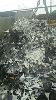 河北地区矽钢片上门回收
