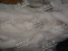 山东东营地区长期供应普通布角80纯棉再生棉