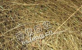 广东地区黄铜线回收