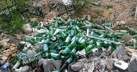 辽宁地区啤酒瓶回收