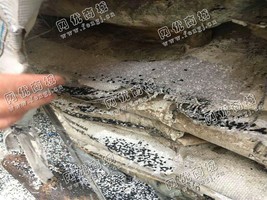 浙江宁波出售PC-PET-PE混合颗粒