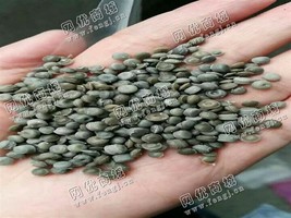 山东烟台出售PE灰色高低压颗粒