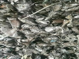 河北唐山出售500吨一级破碎料