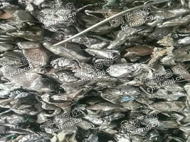 二级破碎料回收