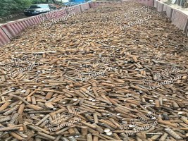6个粗以上钢筋头回收