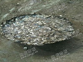 海宁地区处理100吨铁销饼
