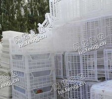白透水果框回收