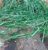 重庆壁山出售PET绿色打包带