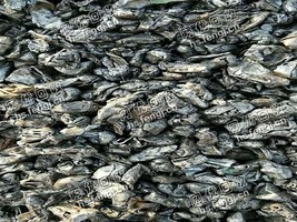 河北地区一级破碎料大量回收