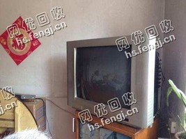 芙蓉区东湖街道老陈废旧21寸老式电视机回收