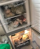 老式两门冰箱回收
