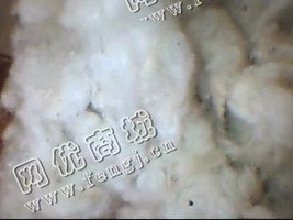 江苏徐州地区长期供应普通古棉开花棉
