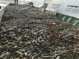 12个粗以上钢筋回收